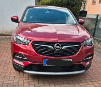 Opel Grandland X Innovation Rheinland-Pfalz - Mehlbach Vorschau