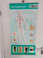 Anatomie Poster Lymphsystem Nordrhein-Westfalen - Recklinghausen Vorschau