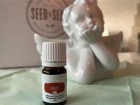 YoungLiving Ginger Ingwer Öl NEU 5ml Hessen - Schlüchtern Vorschau