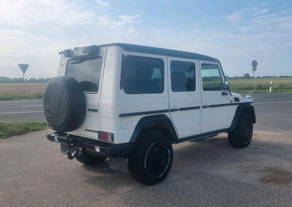 Mercedes G280 Professional W461, G Klasse, VW Kübelwagen KDF 82 in Heinsberg