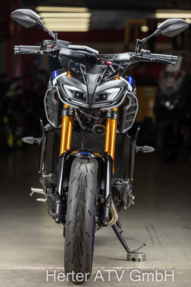 Yamaha MT 09 SP in Waldlaubersheim