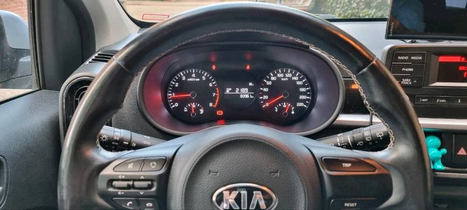 Kia Picanto 1.0 UNFALLFREI in Lingen (Ems)