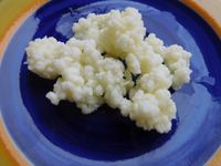 Kefir, Milchkefir Leipzig - Schönefeld-Abtnaundorf Vorschau