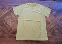 NEU Shirt Aigner hellgrün, Gr. 40, L Kr. München - Unterhaching Vorschau