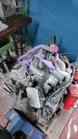 BMW E36 316i Motor M43B16 Nordrhein-Westfalen - Aldenhoven Vorschau