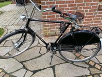 Fahrrad Hollandrad Gazelle 61er Niedersachsen - Wildeshausen Vorschau