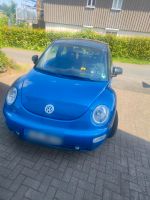 VW New Beetle Hessen - Dautphetal Vorschau