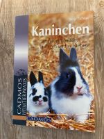 Kaninchen Haustier Buch Baden-Württemberg - Ostelsheim Vorschau