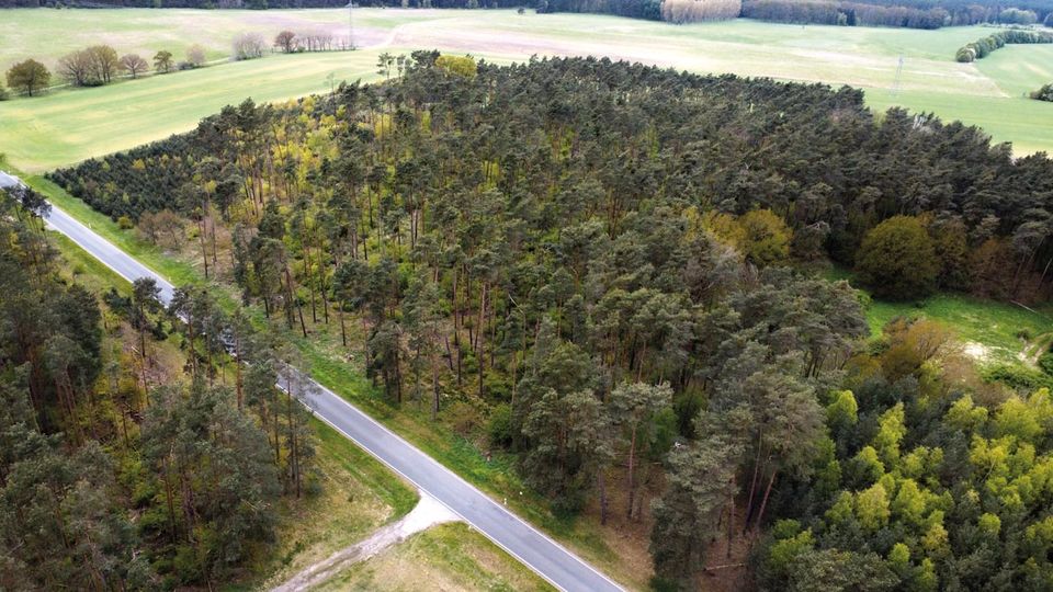 1,2 ha Waldfläche im Havelland in Milower Land