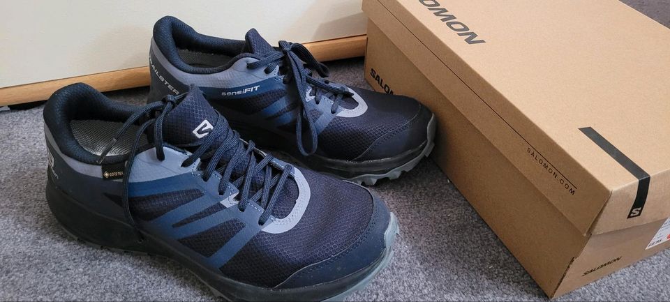 Salomon Trailster 2 GTX W 42 blau neuwertig Schuhe Wanderschuhe in Friedberg