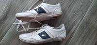 Lacoste Herren Schuhe Sneaker weiß 43 Sachsen - Oschatz Vorschau