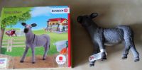 Neu, Schleich, Farm World, Esel, groß, Originalverpackung Rostock - Dierkow Vorschau