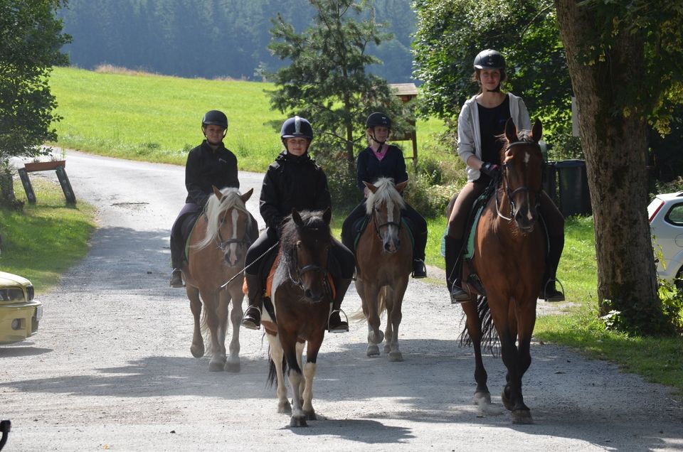 Reiterferien, Reitcamp, Kinderreiterferien 2024 in Weißenstadt