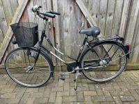 Damenfahrrad Hollandrad Union Texel 53 Zoll Münster (Westfalen) - Centrum Vorschau