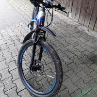 E Bike  Crussis  Fionna  8.6 M guter Zustand Bayern - Schwarzach Vorschau