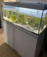 160l Aquarium mit Unterschrank+Fische Brandenburg - Zossen Vorschau
