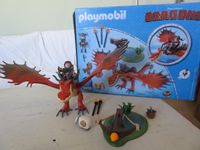 Playmobil Dragons Rotzbacke und Hakenzahn TOP!! Schwerin - Paulsstadt Vorschau