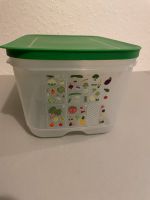 Tupperware Gemüse Frischhaltebox 4.4L Dithmarschen - Heide Vorschau