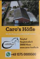 Erlebnis auf dem Ponyhof Niedersachsen - Kluse Vorschau