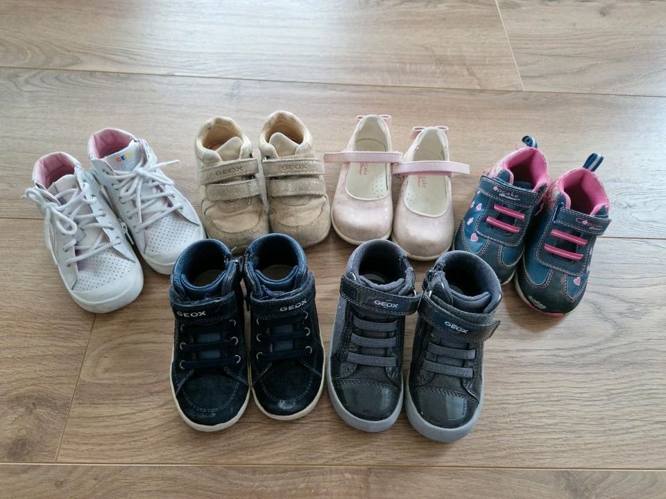 Sneaker, Schuhe, Kinderschuhe, Geox, Cupcake Couture in Sachsen-Anhalt -  Bitterfeld | Gebrauchte Kinderschuhe Größe 23 kaufen | eBay Kleinanzeigen  ist jetzt Kleinanzeigen