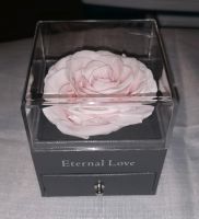 Schmuckkästchen mit echter Rose "Eternal Love" Bayern - Röttenbach Vorschau