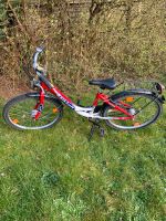 Fahrrad 24 Zoll  Kalkhoff Nordrhein-Westfalen - Blomberg Vorschau