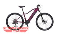 E-Bike 29" EASYBIKE ELECTRA VIOLETT - Elektrofahrrad Sachsen - Wolkenstein Vorschau