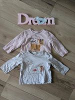 Shirts Langarmshirts dünne Pullover Baby Mädchen H&M 74 Thüringen - Gerstungen Vorschau