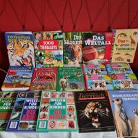 Viele verschiedene Kindersachbücher,Preise i. d. Beschreibung Nordfriesland - Husum Vorschau