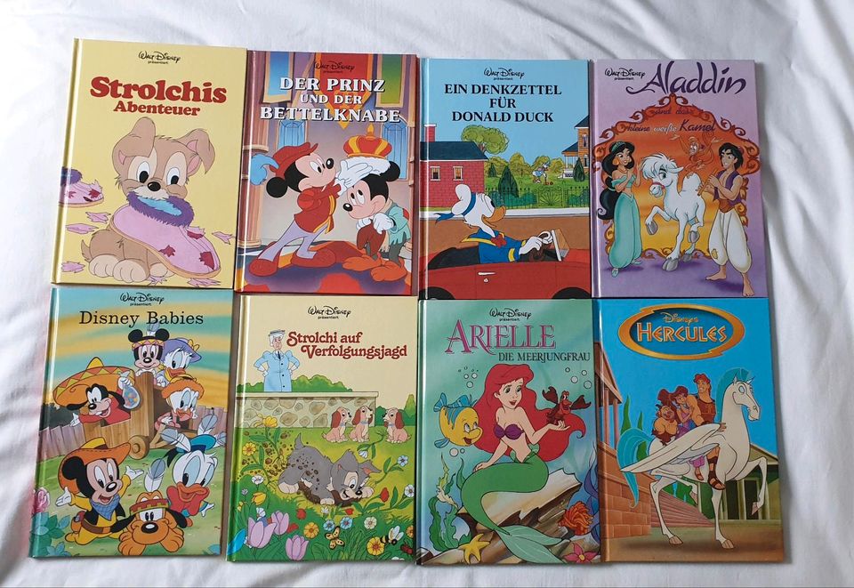 Kinderbücher Walt Disney in Olbernhau