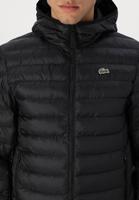 Neu Lacoste Übergangsjacke Neu Größe XL 58 Lacoste **UVP 269€** Nordrhein-Westfalen - Velbert Vorschau