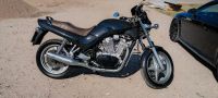 Suzuki VX 800 Kreis Ostholstein - Scharbeutz Vorschau