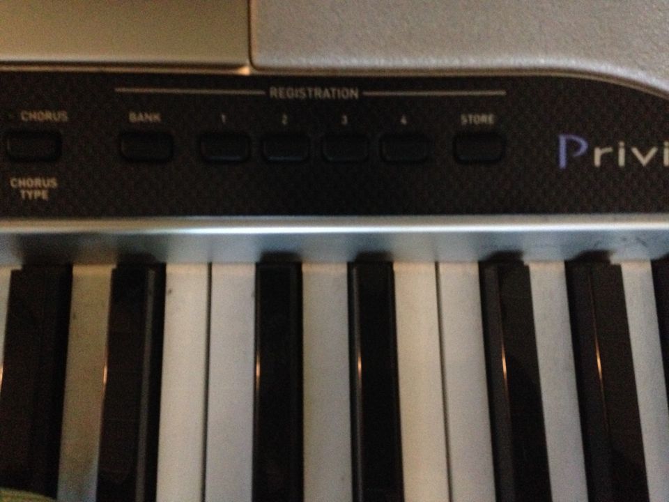 Casio Privia PX 310 - E Piano / Stage Keyboard in Kaltenkirchen