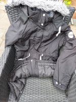 Reitjacke Steeds Winterreitjacke Gr. S Sachsen-Anhalt - Quedlinburg Vorschau