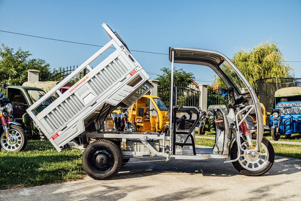 3Rad AMR Elektro Cargo mit Kabine Pritsche Kipper 400 Big Volta TUKTUK APE Lastendreirad TUCK TUCK MEGA CABIN Geco Stormborn Green Speed Lastendreirad TUK TUK Futura Runner Elektrofrosch Frosch 3 Rad in Waren (Müritz)