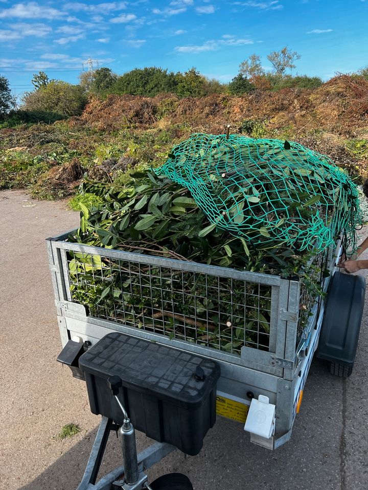 Gartenarbeit Gärtner Gartenbau Gartenpflege Hausmeister Service in Holzgerlingen