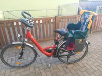 Damenfahrrad 28 Zoll mit Kindersitz Niedersachsen - Braunschweig Vorschau