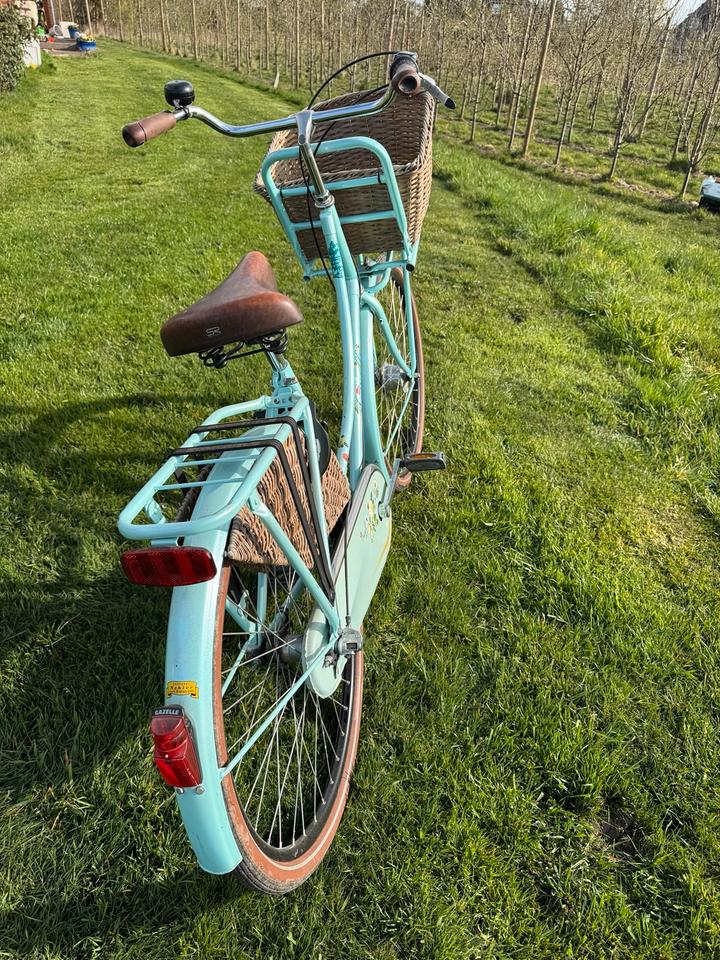 Gazelle 28“ Classic LMTD (Blumen) Edition Mint Hollandrad Korb in Jork