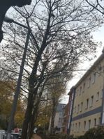 Aufgeteiltes Mehrfamilienhaus mit Neubau- und Aufstockungspotential Berlin-Steglitz Berlin - Steglitz Vorschau