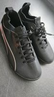 Puma Fussballschuhe, Fussball, Sneaker, Größe 35.5 Nordrhein-Westfalen - Ahlen Vorschau