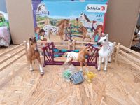 Schleich Set Dresden - Trachau Vorschau