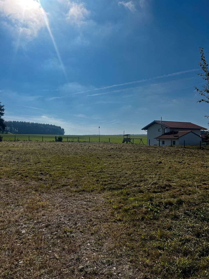 Mähen | Mulchen | Obstwiese | Bauplatz | Böschung in Baisweil