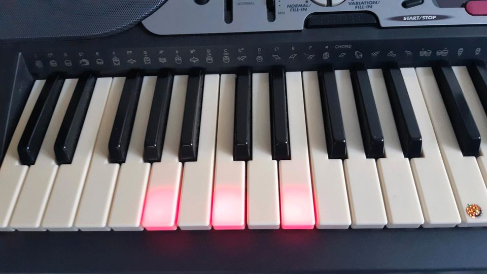 Casio LK-60 Key Lightning Keyboard für Anfänger, 100 Songbank in Berlin