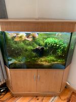 Aquarium 350L, + LED Beleuchtung, + Filter + Deko + Pflanzen Berlin - Treptow Vorschau