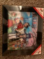 One Piece 3D Bild Dortmund - Innenstadt-Nord Vorschau