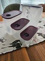 Tupperware Zeitgenossen Quadro Lila 4er Set NEU OVP Nordrhein-Westfalen - Moers Vorschau