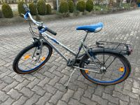 Damen Fahrrad Windora Bayern - Illschwang Vorschau