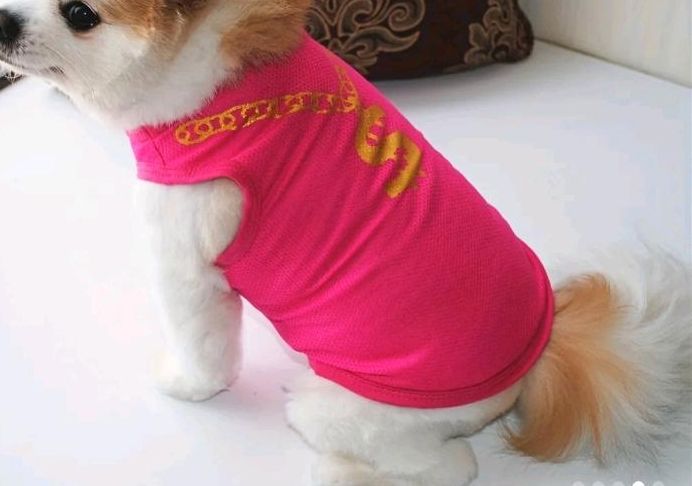 Hunde/Katzen T-Shirt,  pink, Gr. S - NEU in Berlin