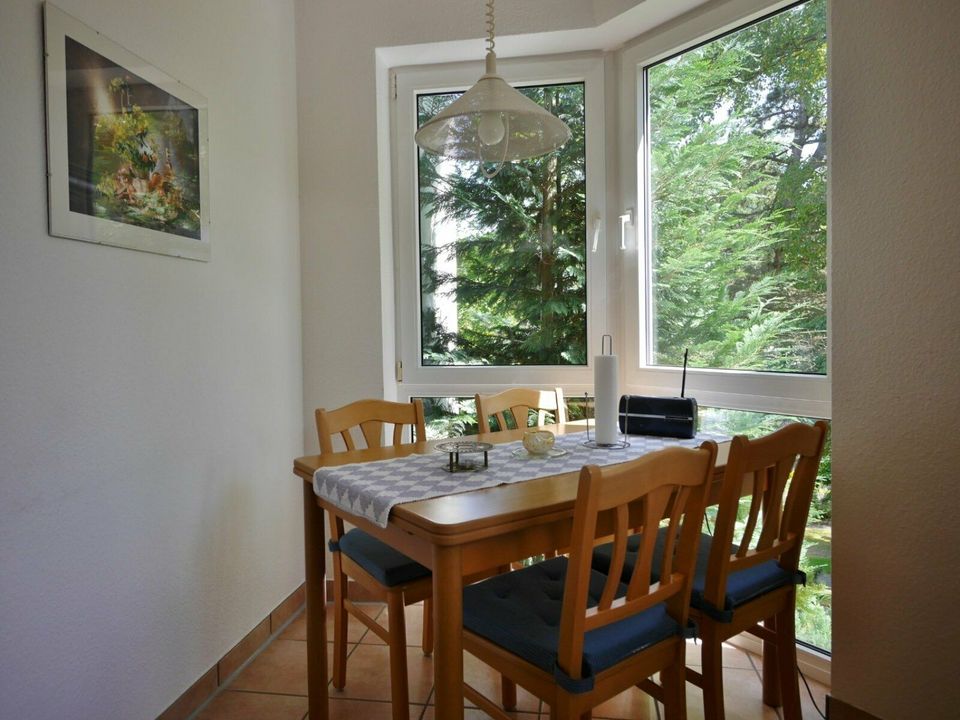 Fewo B,D+G am Kurpark (2-3P.) Willingen Sauerland Ferienwohnung in Willingen (Upland)