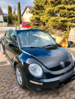 VW Volkswagen New Beetle Cabriolet 1.4 Freestyle Cabrio  schwarz Niedersachsen - Kalefeld Vorschau